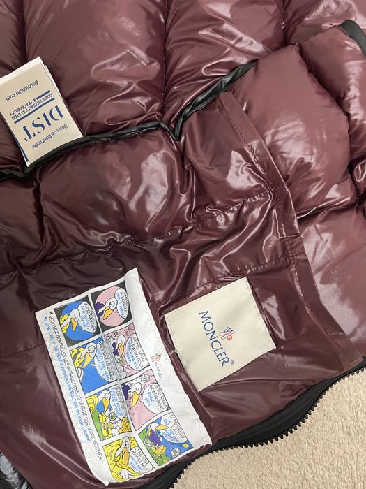 Vesta moncler barbati