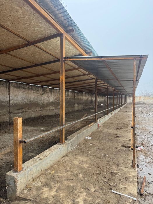 Мини ферма на Янгийул Молбозор