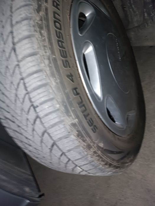 Didka balon sotiladi