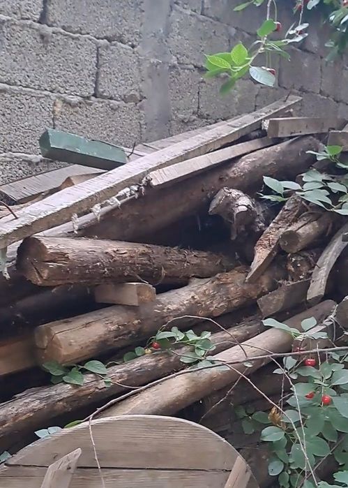 У́тин, ёгочлар -Дрова самовывоз