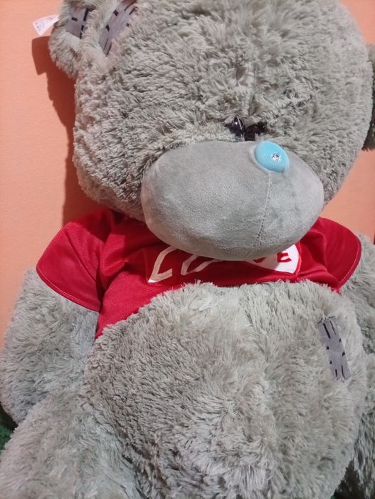 Ulkan teddy zudlik bilan sotaman