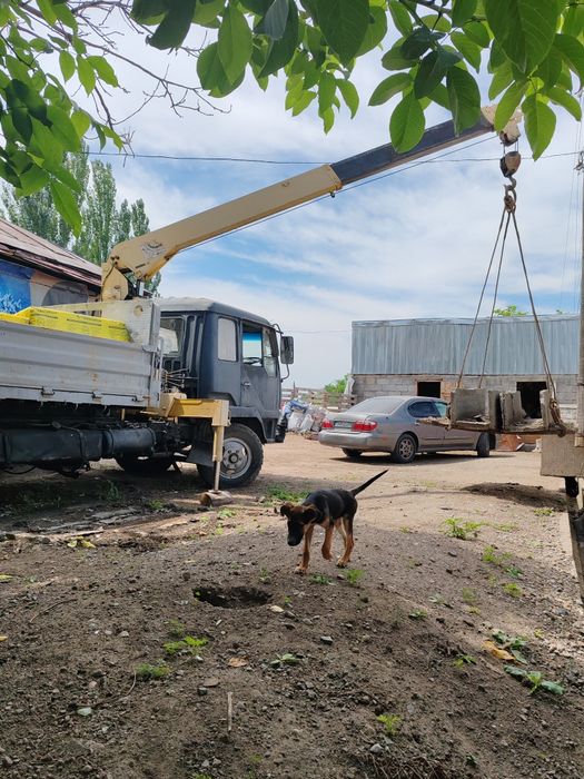 Продам манипулятор митсубиси