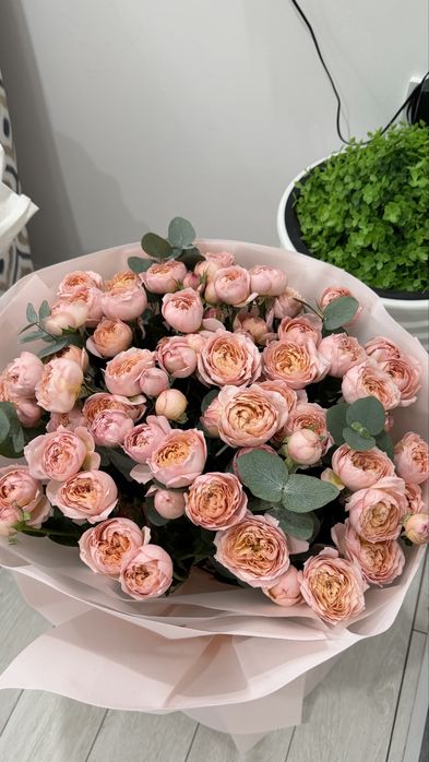 Пионовидные розы Джульетта