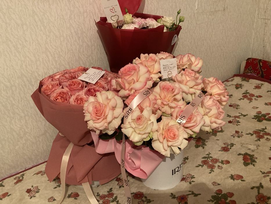 Гүлдер бар свежии