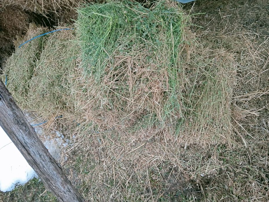 Baloti ovaz , iarba si lucerna a treia cosire