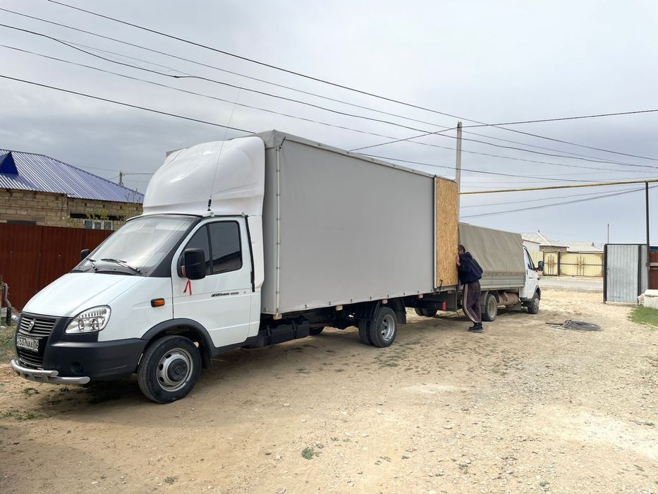 Газель жалданады