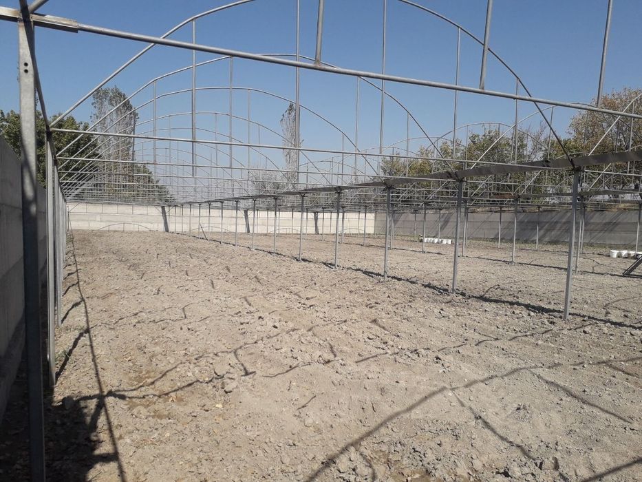 Типлитса сотилади