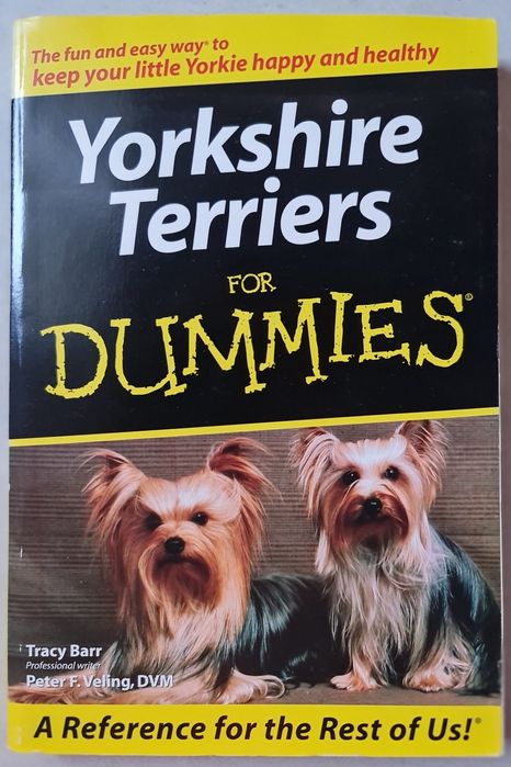Carti training Yorkshire Terrier