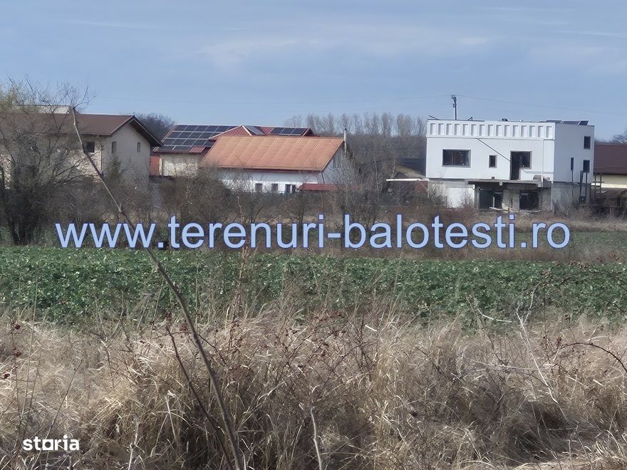 Teren cu gaz si electrica-hotar, 28000 E, padure
