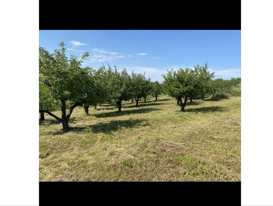 Vand teren deosebit de frumos pentru 1- 2-4 familii-5755 MP