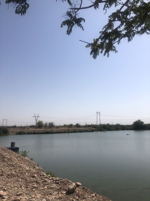 Продается рибыхоз готовый бизнес