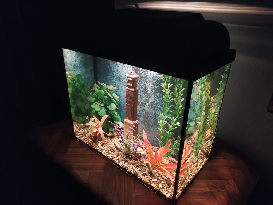 Новый аквариум + бонусы и рыбки.