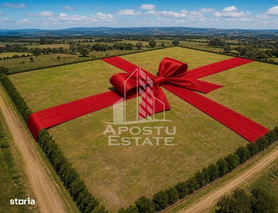 Parcele PUZ industrial 23,5 ha |17 euro+TVA| zona Nord Timișoara