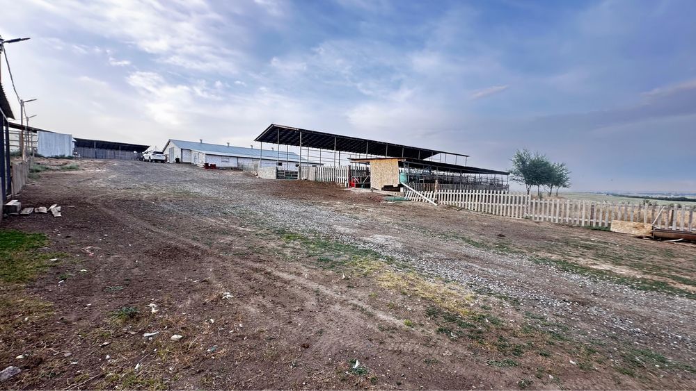 Фазенда для КРС и птицы