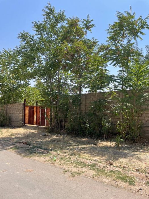 Яккабоғда сотилади ер участкаси