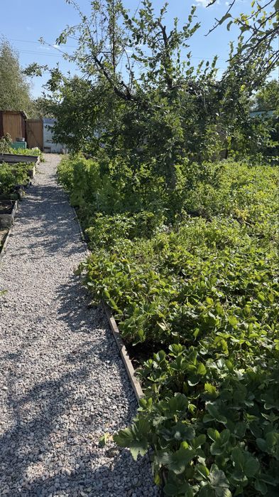 Продам дачу сообщество Борки