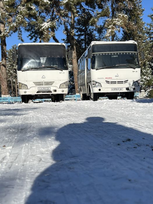 Avtobus buyurtma arzon narxlarda