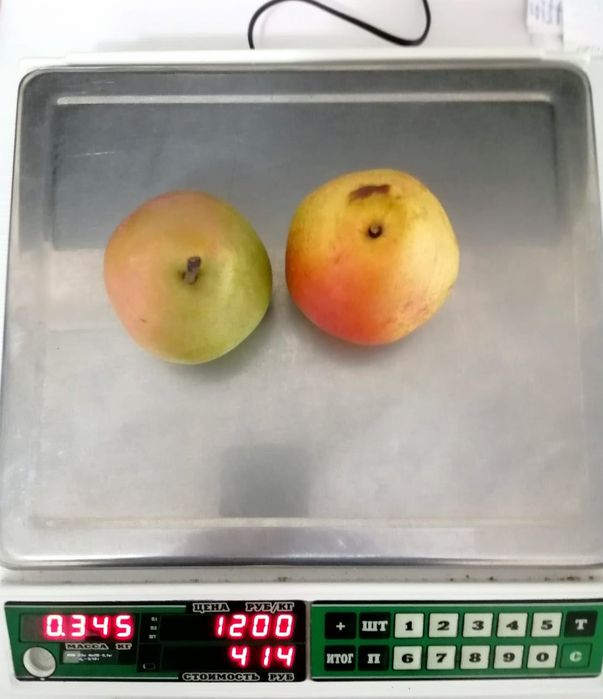 Весы электронные