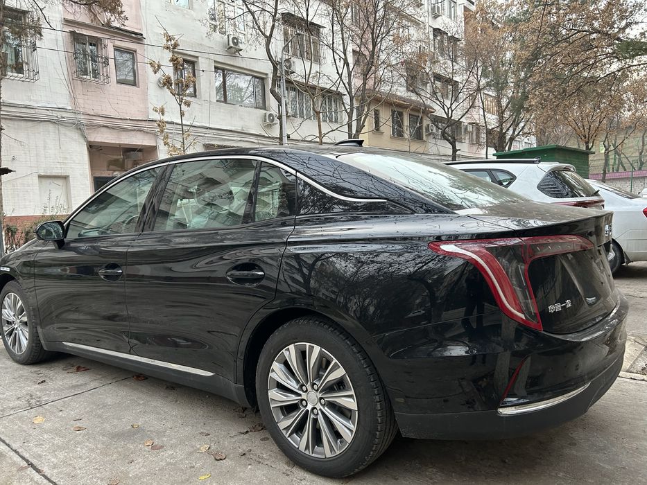 Hongqi E - QM 5  (500)