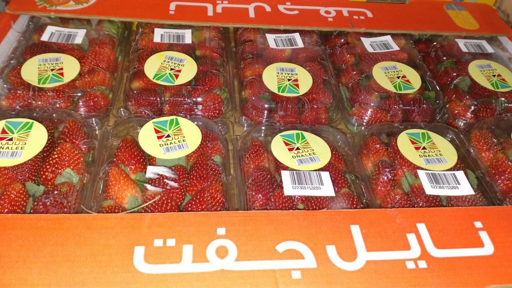 Клубнтка в розницу и оптом