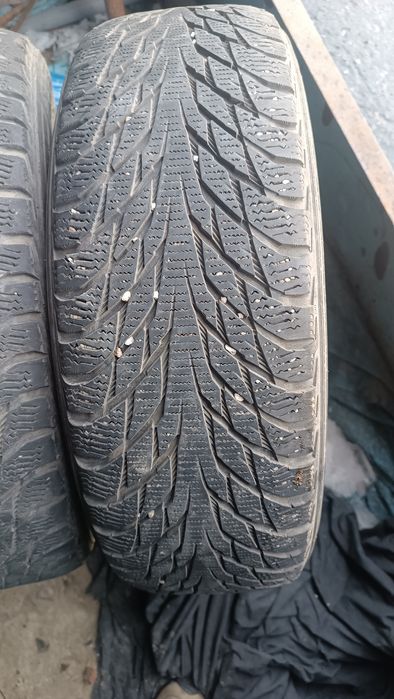 Шины Nokian Hakkapellita