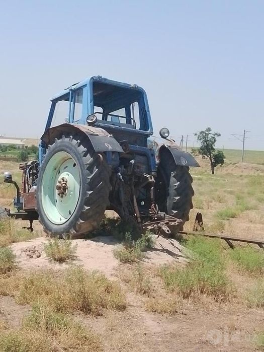 Belarus 80  yuradi