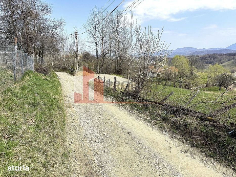 Teren 2.495 Mp | Bran – Sohodol | Vedere Panoramică Spre Bucegi