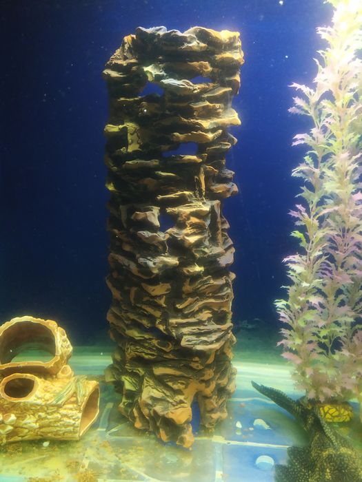 Для высоких аквариумов. Декор керамика.