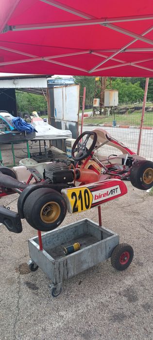 Картинг Бирел клас мини