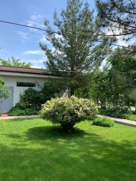 Продаётся дом Новый Узбекистан 14 соток — всё есть.