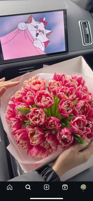 ОПТОМ Голландтық ірі тюльпандар / тюльпаны / цветы / оптм