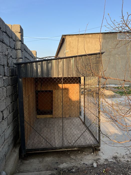 Вольер для собак, Дом для собаки