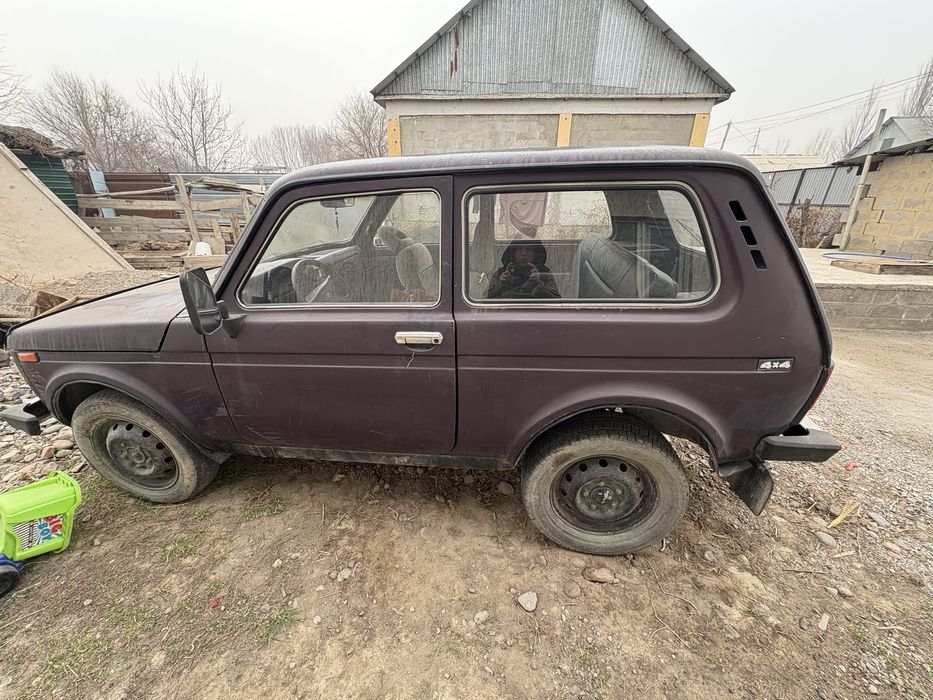 Ниав средний састена