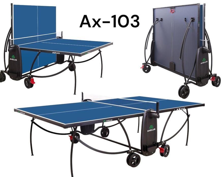 Теннисные столы Настольный теннис Axelus Fox Prince Doublefish