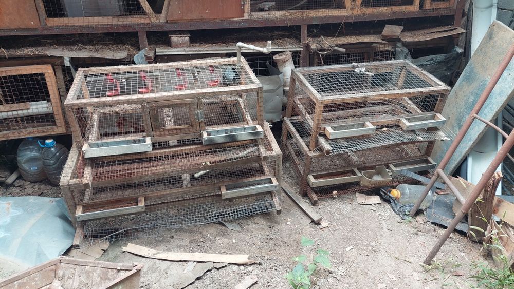 Клетки для Перепелов