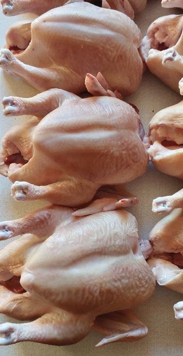 Продам мясо домашних кур бройлеров