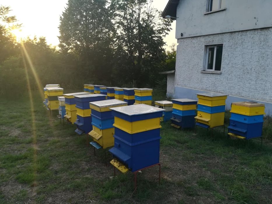 Пчелен Мед Букет натурален, кошери, пчели, буркан