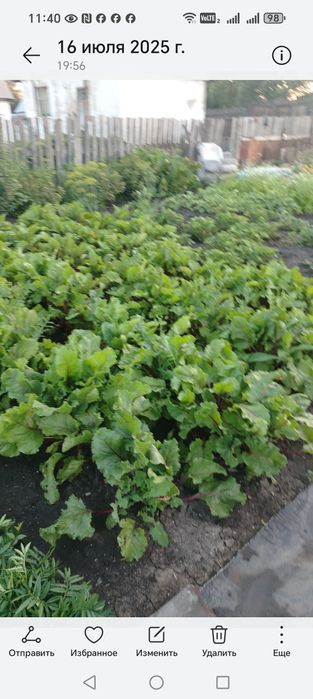 Продаётся дача  ПК "Черемушки"