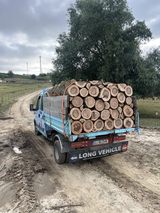 Lemne de foc esenta tare