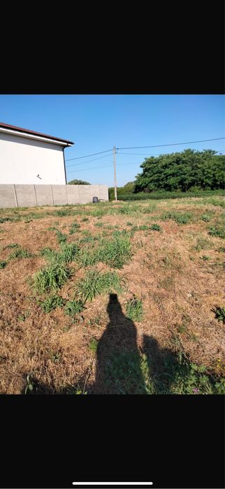 Teren Dumbravita Timis Str Simfoniei