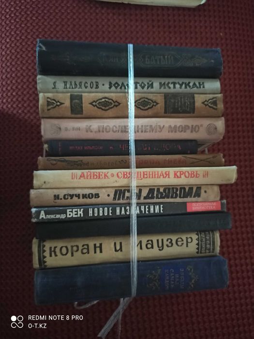Книги Ильясова, Яна