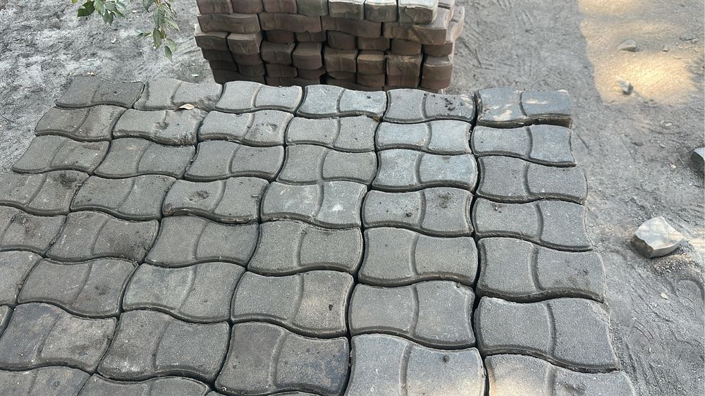 Бурчатка буртчатка