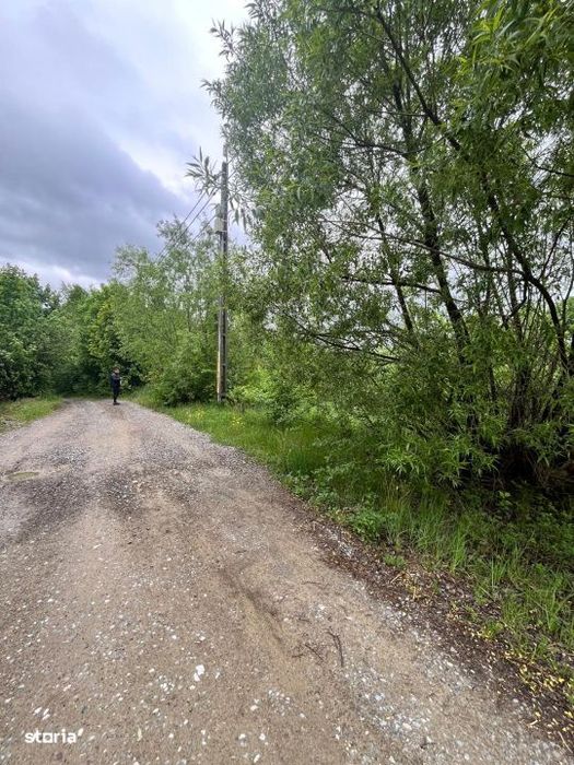 Teren intravilan, 2300mp, zona Hardic, Horodnic de Sus, Radauti