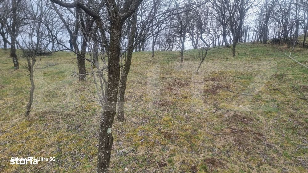 Teren Intravilan Vedere Panoramica 3781 Mp  La 2 Km De Manastirea Cras