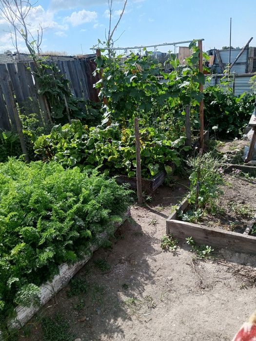 дом Озерки или продам