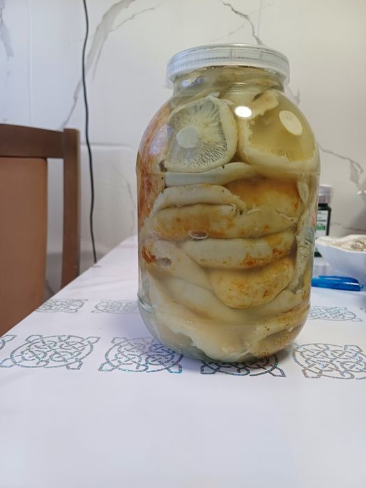 Продам солёные грузди