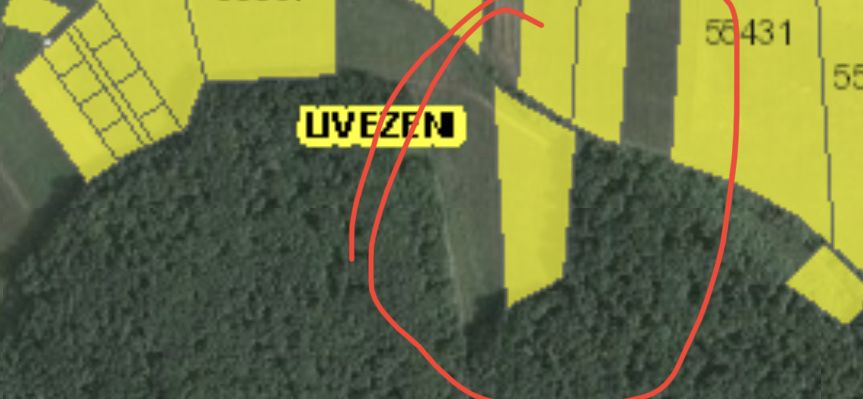 Vand teren in Livezeni 9000mp