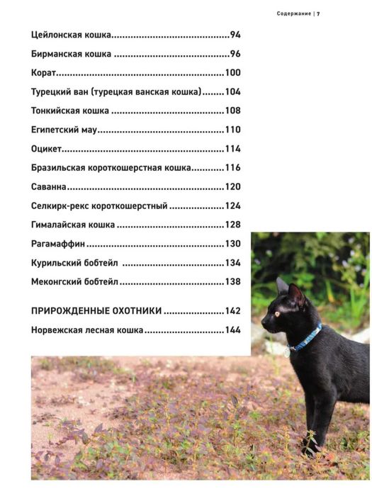 Книга "Породы кошек "
