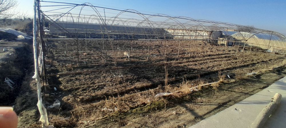 Issiqxona 10sotx narxini kelishamiz