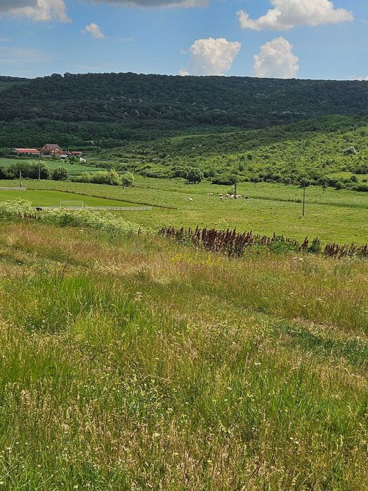 Vand Teren - 7200 mp - E581 si Teren - 2000 mp - Cretestii de Sus/Husi,Vaslui